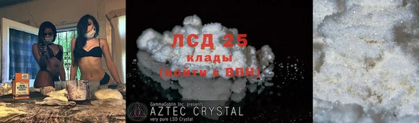 прущие крисы Аркадак