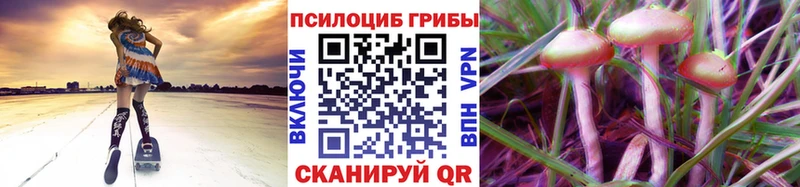 blacksprut ссылка  Полярные Зори  Псилоцибиновые грибы мухоморы 